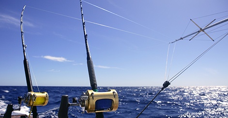 Offshore Fishing Florida